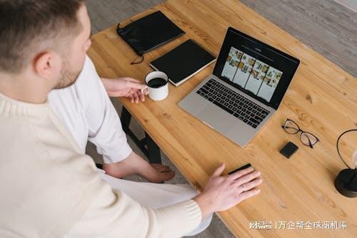 成功之道：案例解析与经验总结凯发国际K8跨境电商独立站(图9)