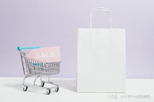 成功之道：案例解析与经验总结凯发国际K8跨境电商独立站(图14)
