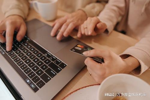 成功之道：案例解析与经验总结凯发国际K8跨境电商独立站(图13)