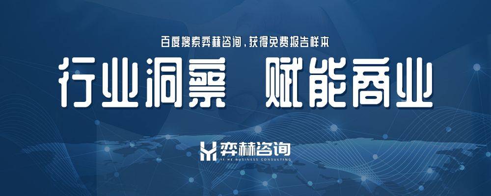 2025年外墙梯子市场凯发k8入口全面分析(图3)