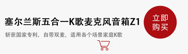 +K歌+电源+收音机+支架5合1只要100多！凯发K8旗舰厅牛！中国制造强到如此可怕了！音箱(图11)